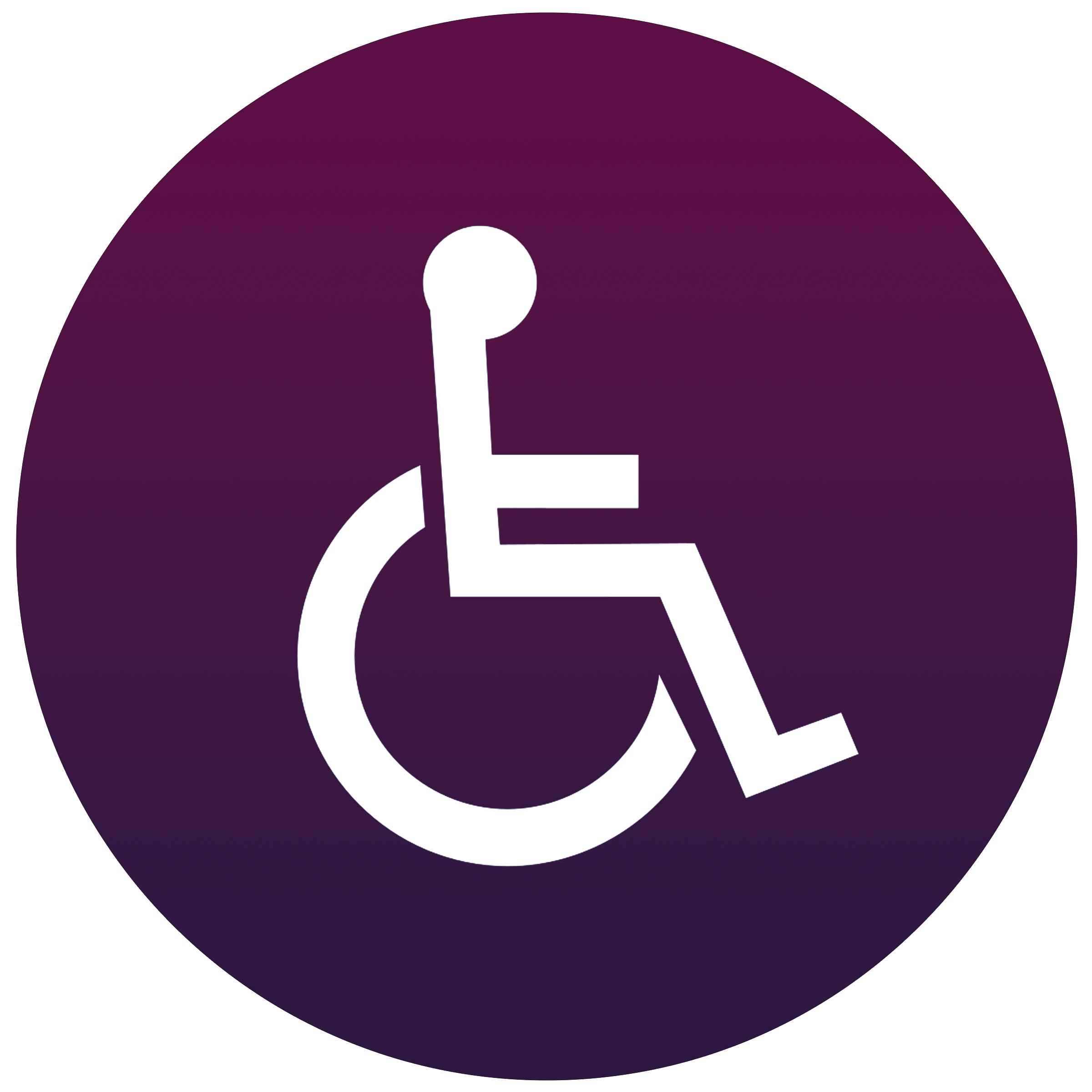 Hassan Temple ವೀಲ್ ಚೇರ್ - Sri Hasanamba Temple Services