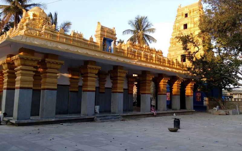 Hassan Temple Shakti Forms - Goddess Hasanamba Divine Powers